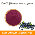 Blueberry extract Anthocyanins powder CAS 84082-34-8