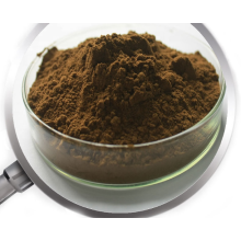 Polyphenols Yerba Mate Extract powder Yerba Mate Tea