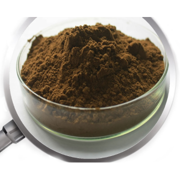 Polyphenols Yerba Mate Extract powder Yerba Mate Tea