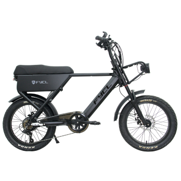 Nuovo stile 250W 36V 13Ah 7 Speed ​​Electric Bike con batteria al litio e pneumatico grasso