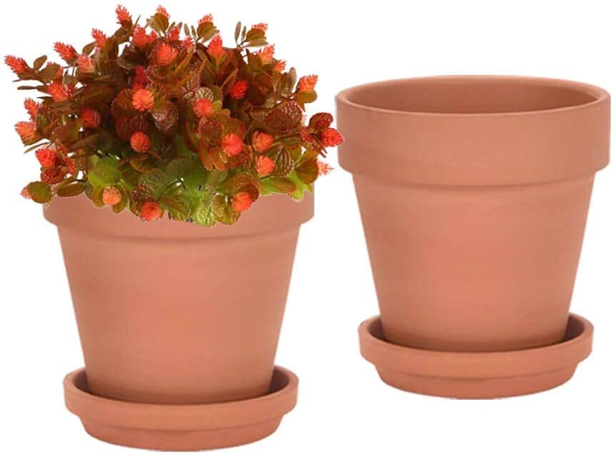 8 Inch Clay Pot for Plant with Saucer