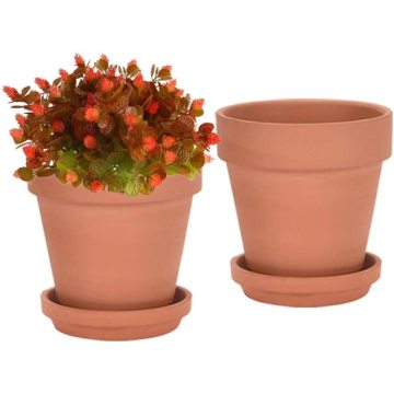 8 Inch Clay Pot for Plant with Saucer