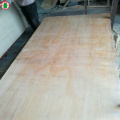 18 mm pine veneer laminated plywood