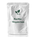 Probióticos em pó de Bacillus megaterium