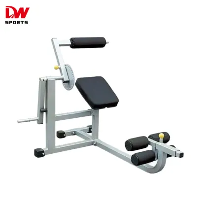 High-Quality Legs Weight Bench: A Multifunctional Exercise Equipment for Skyland Fitness Enthusiasts