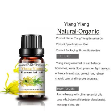 Armazenamento Ylang Ylang por atacado de óleo essencial com embalagem