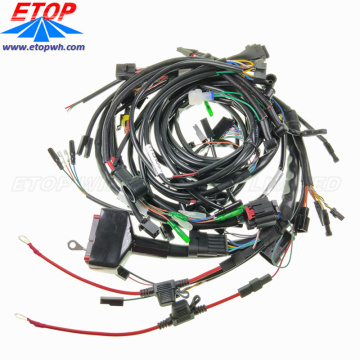 Mazo de cables de la ECU y conjunto de cables del conector Ampseal