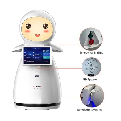 CSJBOT: Intelligent Humanoid Service Robot for Education