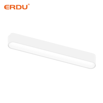 ERDU White 12W LED Flooding Light 24V Smart Tuya App Control LED Belt Woven Linear Track Light