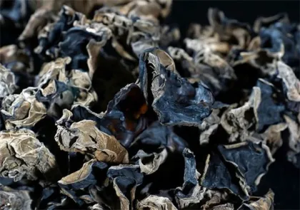 Dried black Fungus mushroom /Wood Ear/ Black Fungi