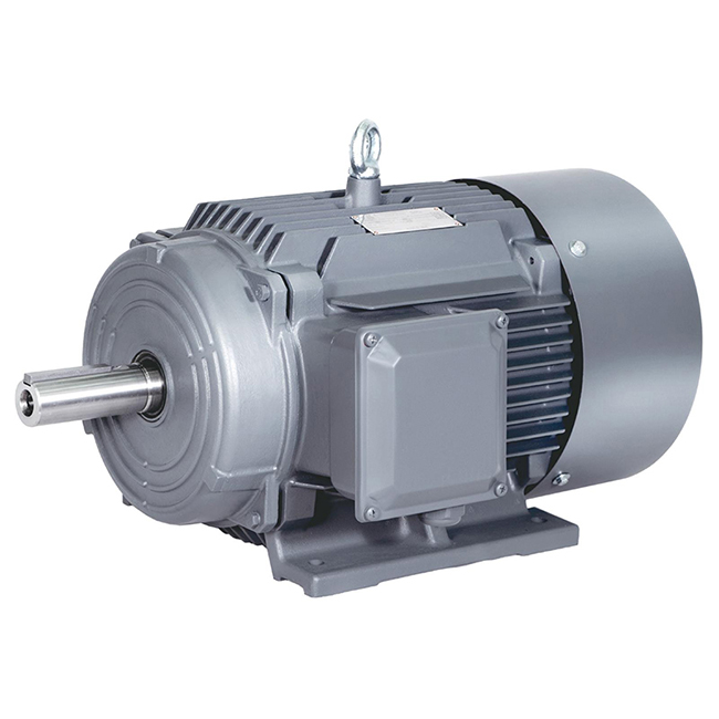 BEIDE37KW 1TL0003 Cast Iron Three-phase Asynchronous Motor