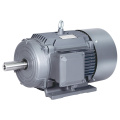 BEIDE30KW 1TL0003 Cast Iron Three-phase Asynchronous Motor