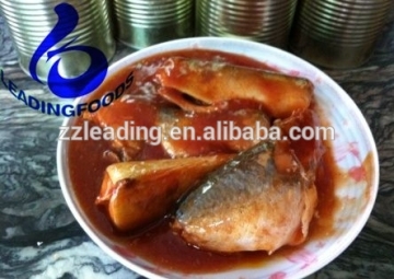 Wholesale China Processed Instant Canned Mackerel in Tomato Sauce Premium Quality