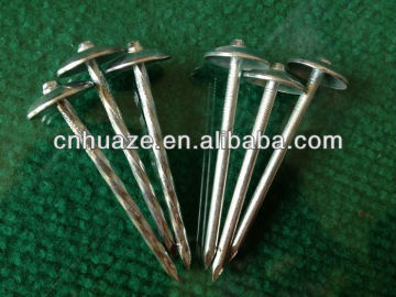 roofing nails/gi roofing nails