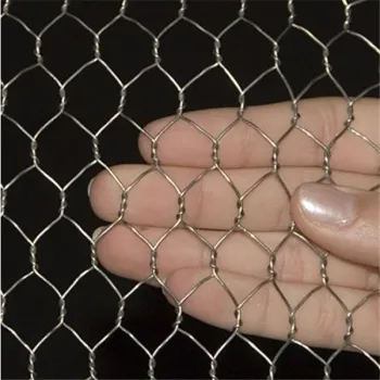 Hexagonal Wire Mesh/Chicken Wire Mesh