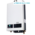 Cheap Electric Tankless Hot Water Heater