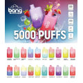 Bang Bc 5000 Puffs Disposable Vape best quality