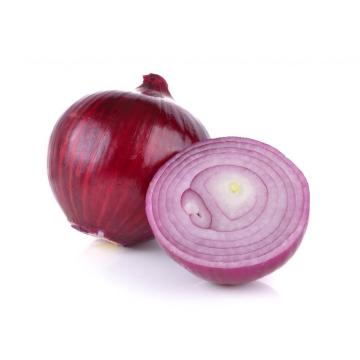 New Crop Fresh Red Onion