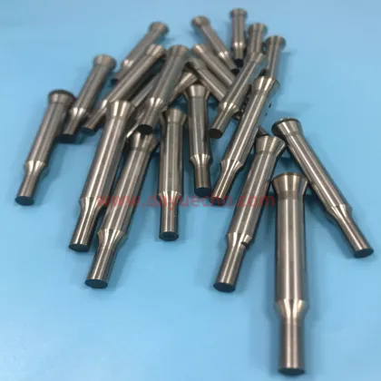 Customized Automotive Stamping Die Oblique Punch and Die