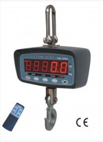 TOYO CRANE SCALE