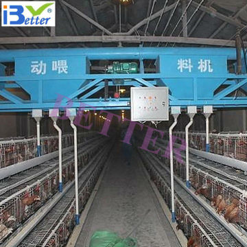 A-type 4 tiers automatic feeding system for chicken