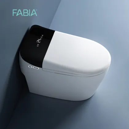 High Tech Automatic Smart Toilet Bowl