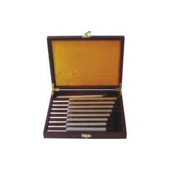 20200.02 Tuning Fork Set: Precision Instruments for Accurate Pitch Tuning