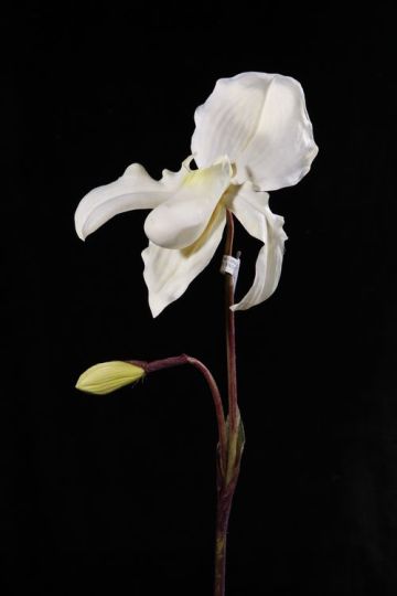 artificial slipper orchid