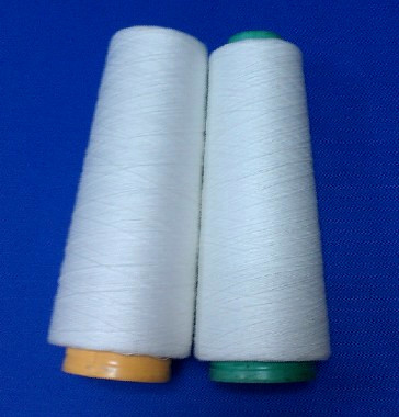 Polyester Yarns for Sewing 40/1