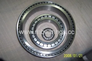 Sl01 4920 C5 Cylindrical Roller Bearings 