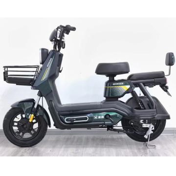 Factory Direct Sales: 350W 48V Electric City Bike - Best Ebike Motor Bicycle