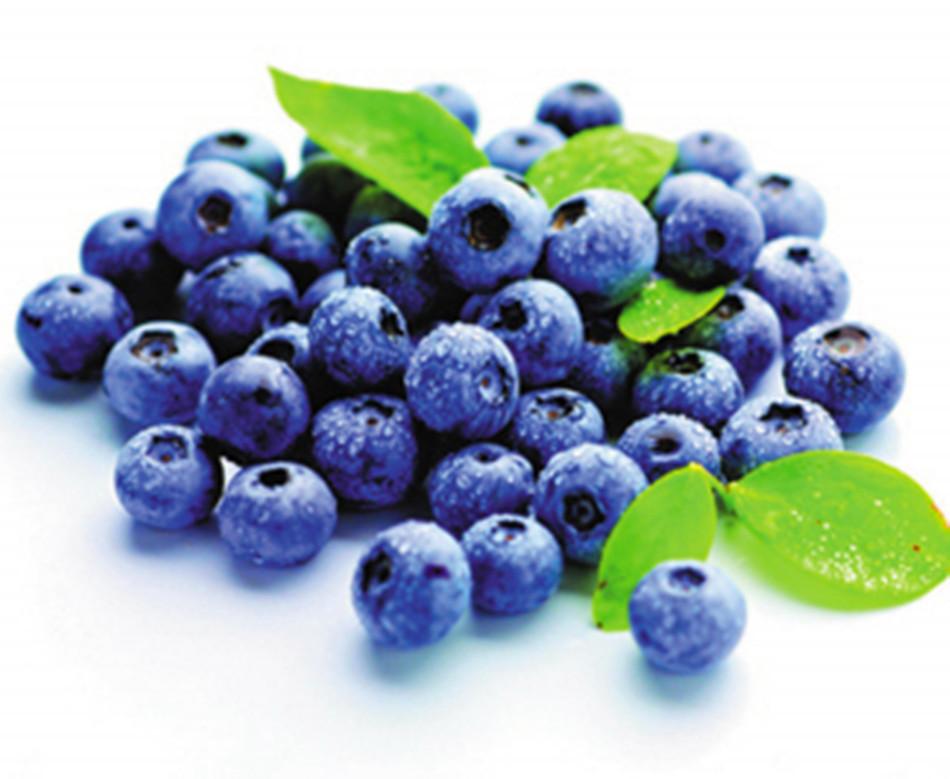 Bilberry