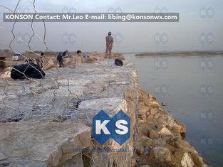 Customized Hexagonal Wire Netting Coated Polyethylene PE Ga