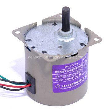 Type AC Synchronous Micro Motors (60KTYZ)