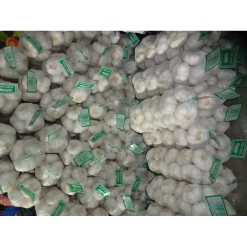 2020 Ail Blanc Pur Sac 1Kg