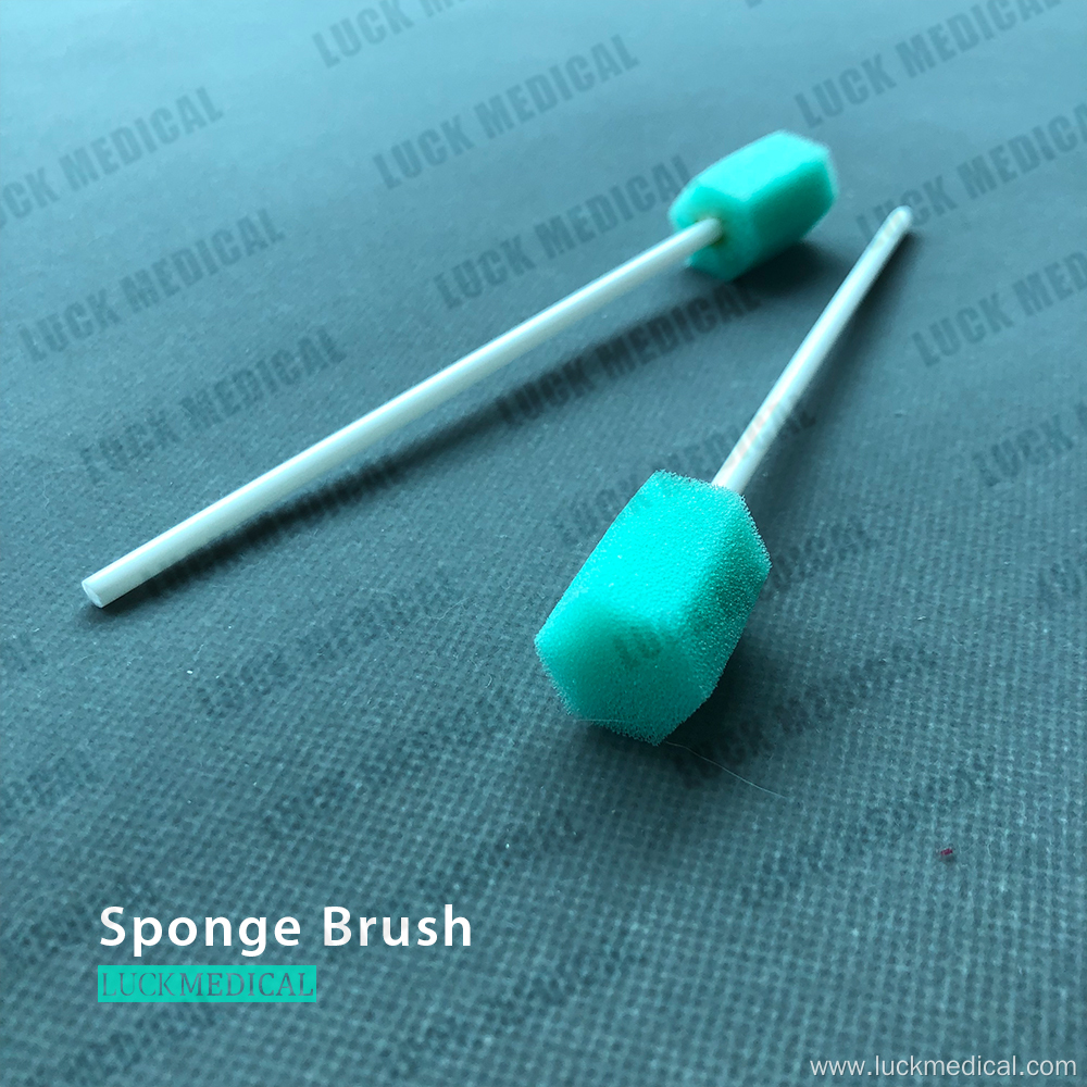 Disposable Oral Sponge Brush