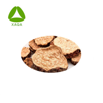 Cistanche Tubulosa Extract 20% Echinacoside Powder