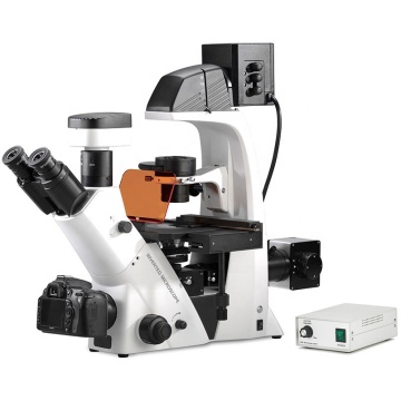 FL-320T Laboratory Inverted Fluorescence Microscope