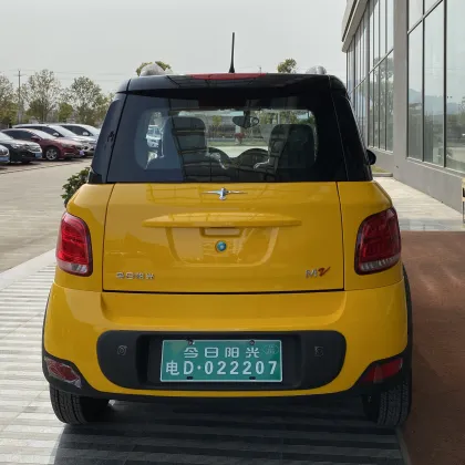 Today Sunshine M2 NEW MODEL EEC Electric Car for Family Use