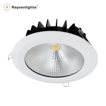 Custom Indoor IP65 Ceiling LED Light - 15W, 125mm Downlight