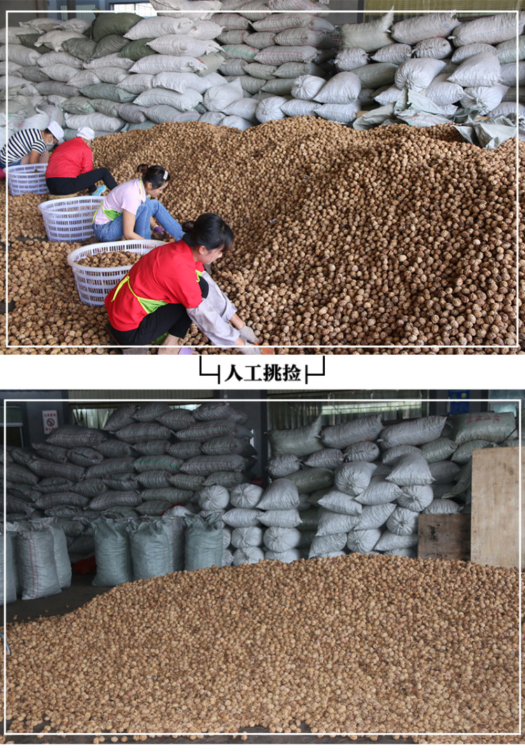 bc8f51505c7d447388c85a4351c05640