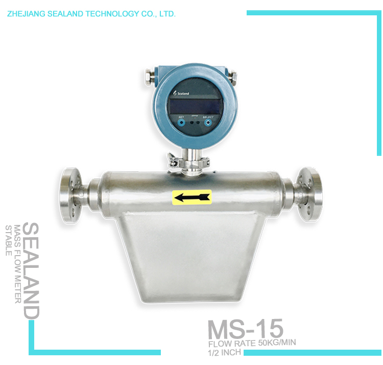 Mass Flow Meter 03