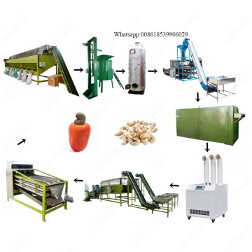Fully Automatic 500Kg/H Peanut and Cashew Nut Processing Machine