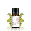 Health Care Perilla Leaf Oil Wholesale Perilla Essential Oil Sweet Perilla Essential Oil