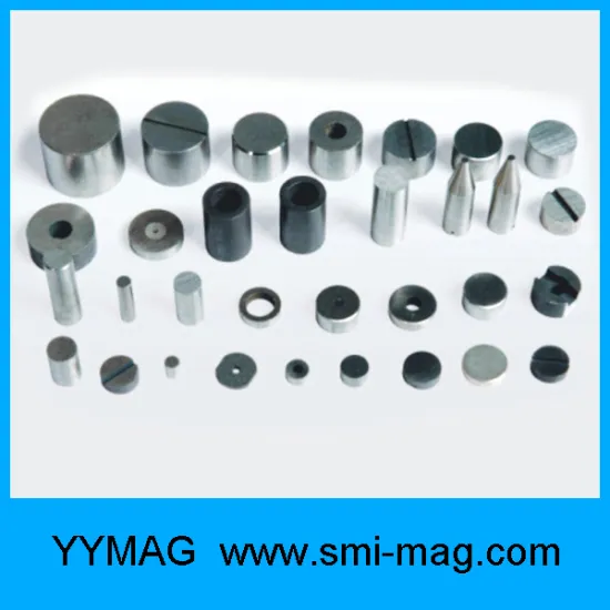 Various shape AlNiCo magnet for dc motors