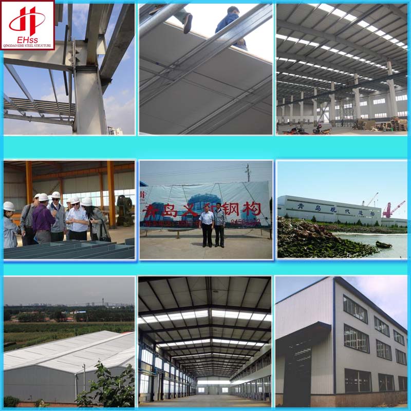 Prefabricated House with Steel Structure Made in China (EHSS213)