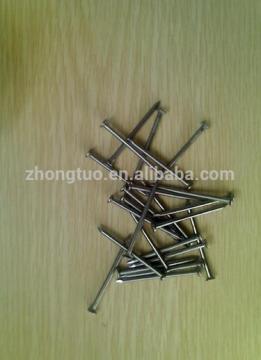 Common Nail with lowest price