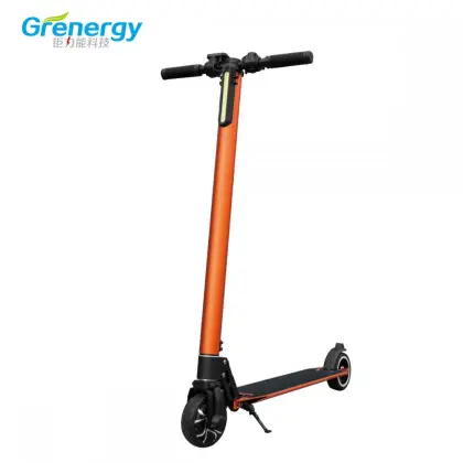 Motor E Scooter Electric Stand on Scooter Electric Scooter