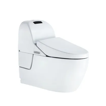1 piece paintable ceramics/auto smart toilet