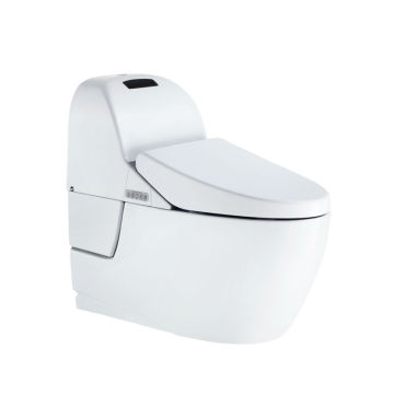 Ace Bidet